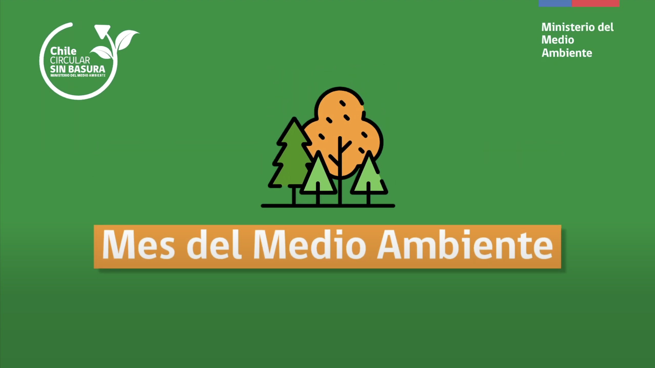 #MesMedioAmbiente | "RestaurAcción Socio-Ecológica Santuario de la Naturaleza Quebrada La Plata"