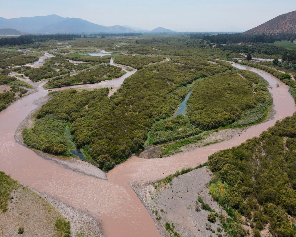 Foto Humedal Río Maipo en Melipilla