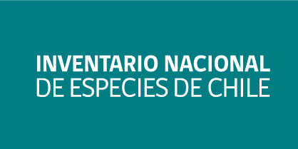 Banner Inventario Nacional de Especies de Chile
