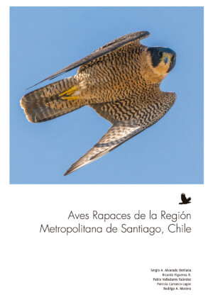 Portada Aves Rapaces en la RM