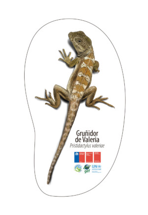 Portada Ilustraciones Gruñidores